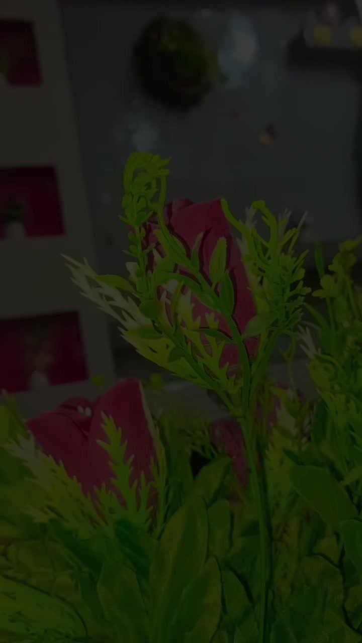 @𝑨ѕ𝐚𝐝📸║اسد