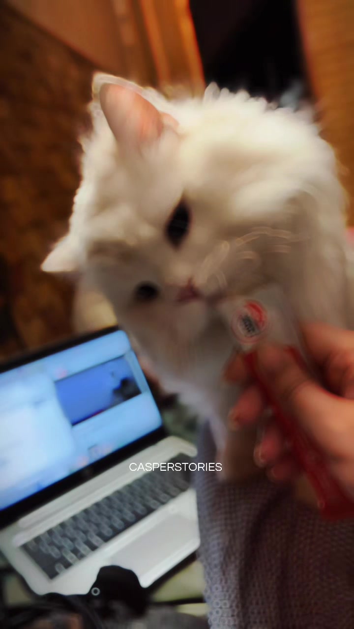 @𝑪𝒂𝒔𝒑𝒆𝒓 & 𝑴𝒊𝒏𝒏𝒊𝒆 🐾