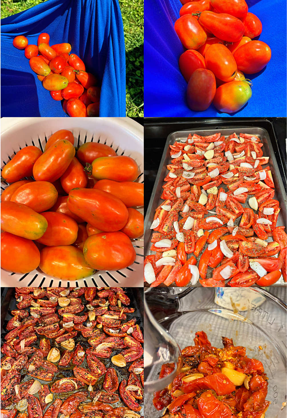 @Seeds_to_Tables