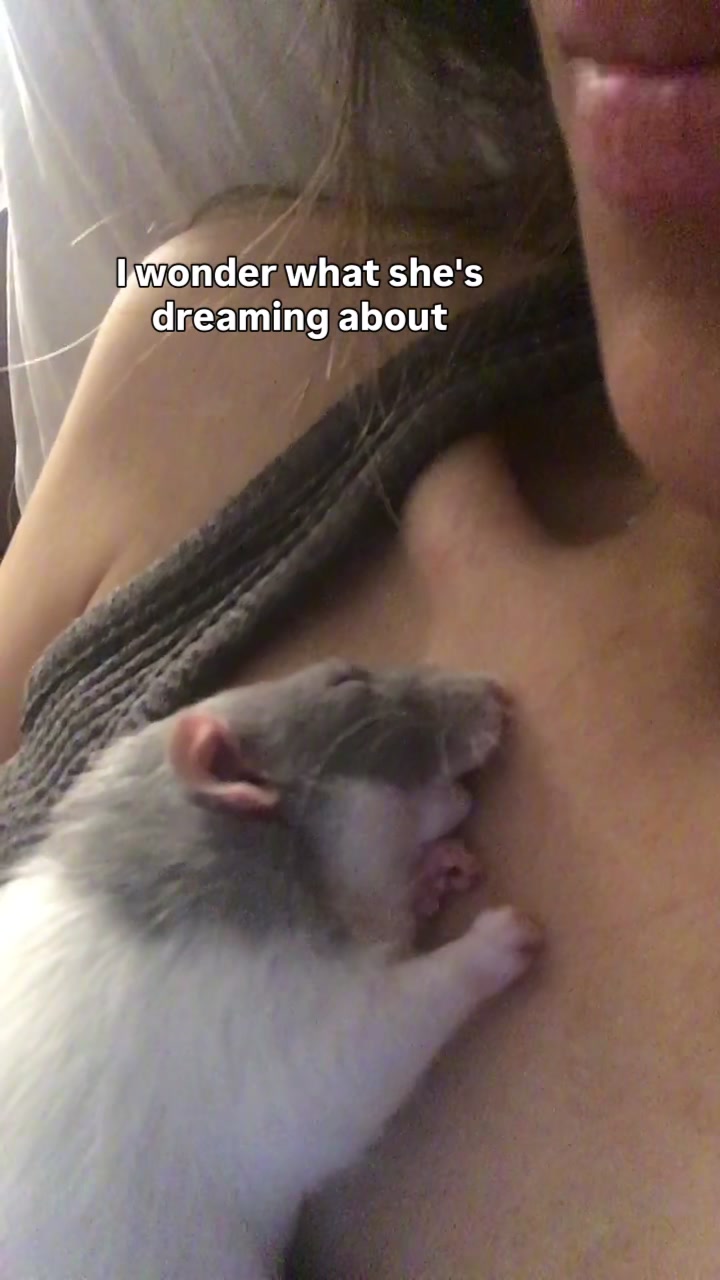 @RatsHaveFeelingsToo