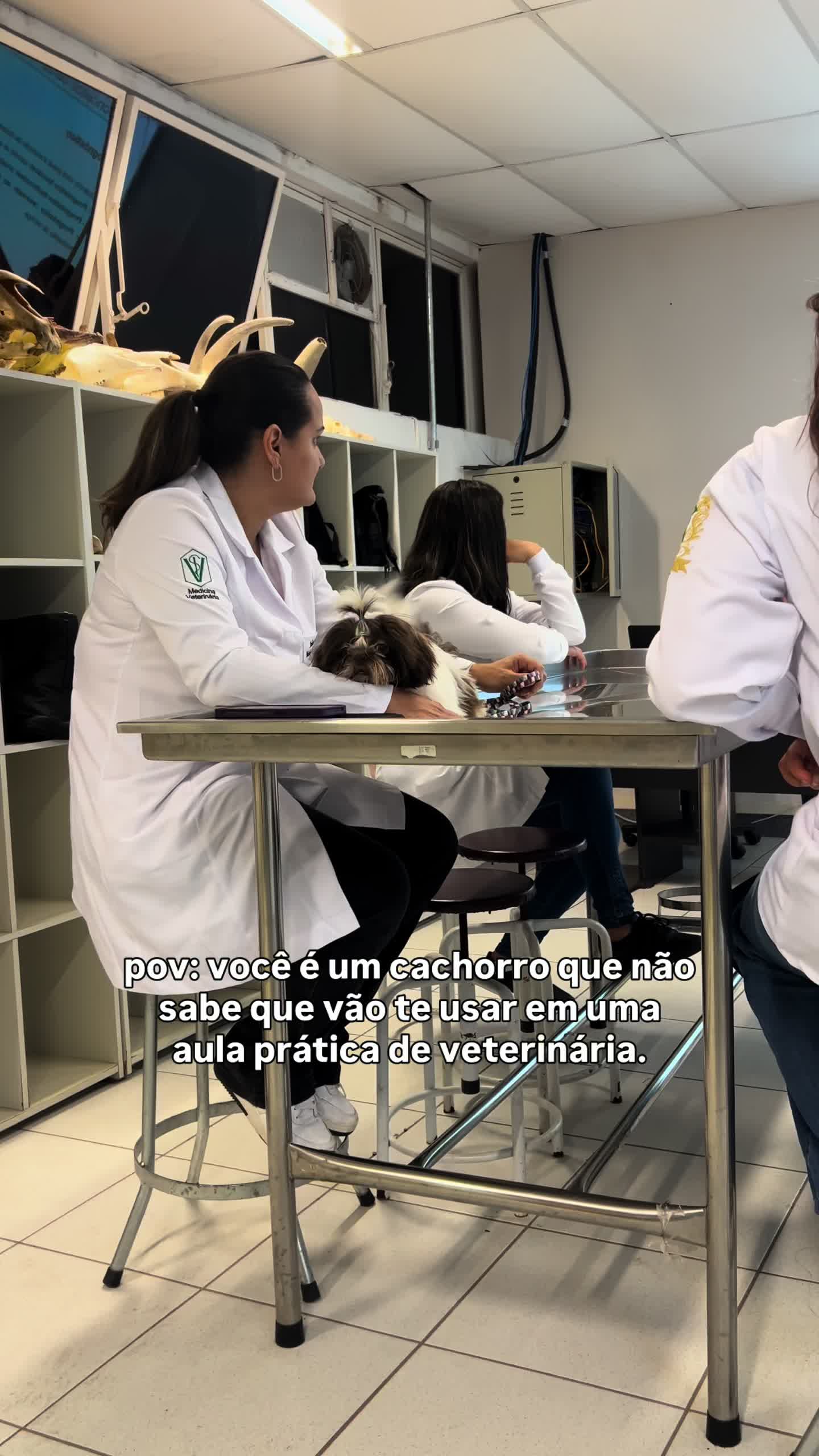@lourenassoares