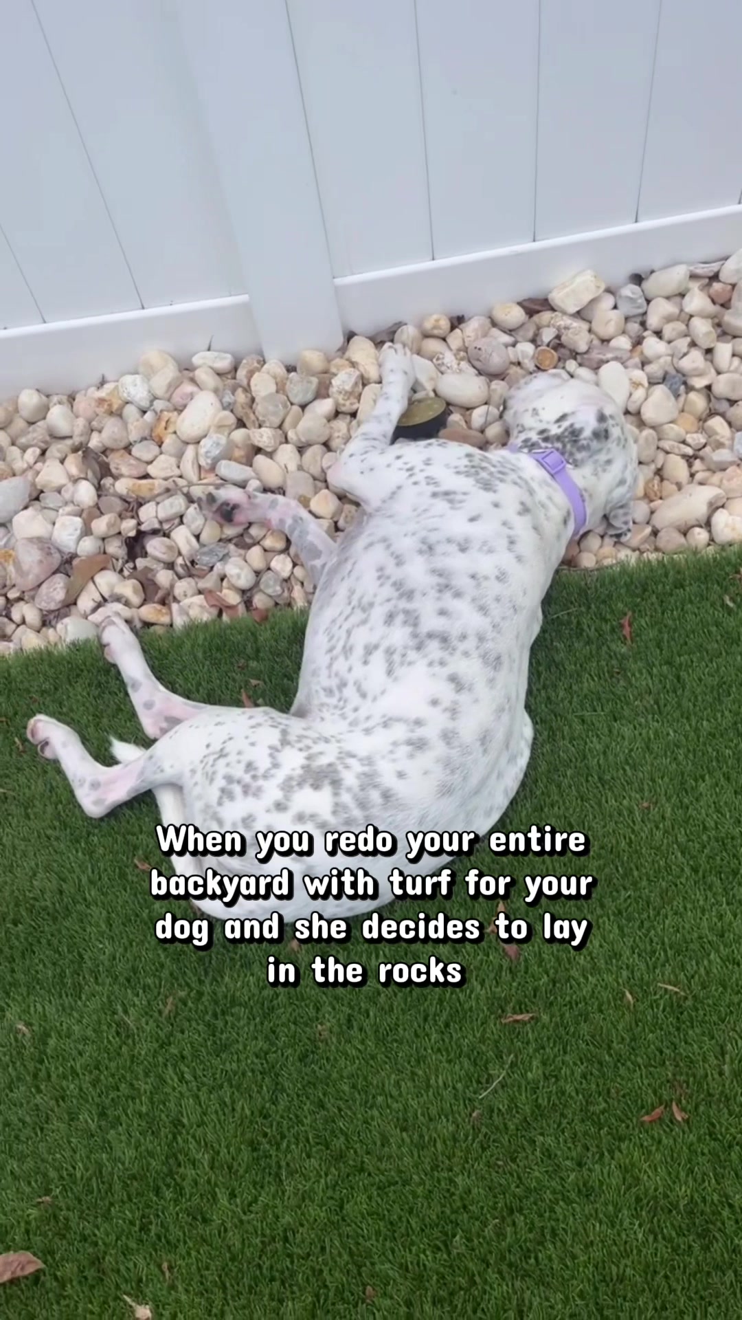 @StellatheDeafBulldane