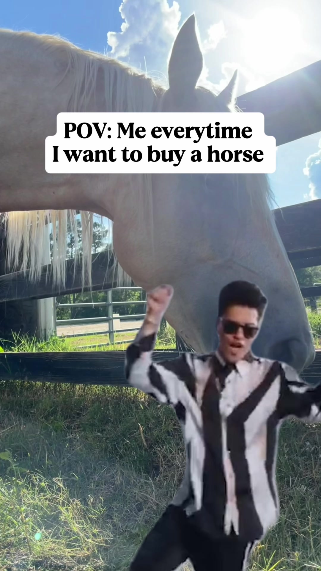 @corderoequine