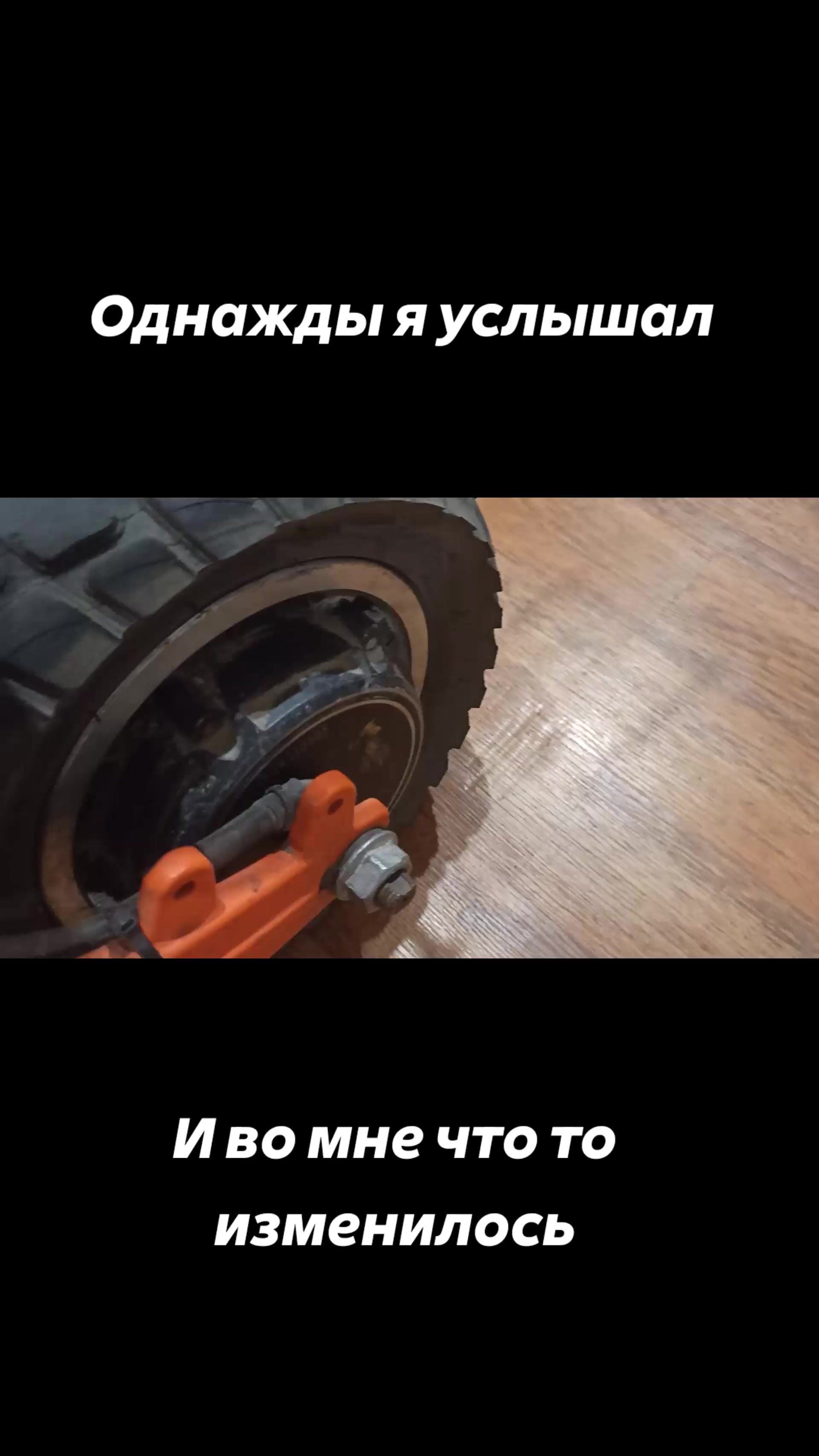 @сын владика🪽 [TSST]
