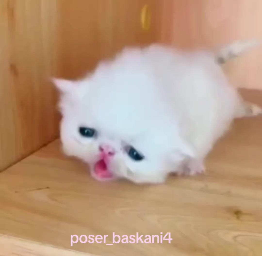 @poser_baskani4