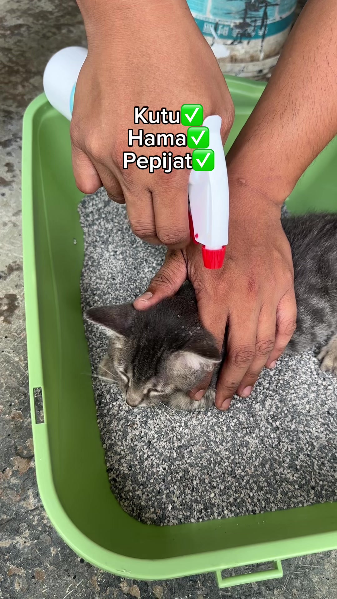 @Zuhairi