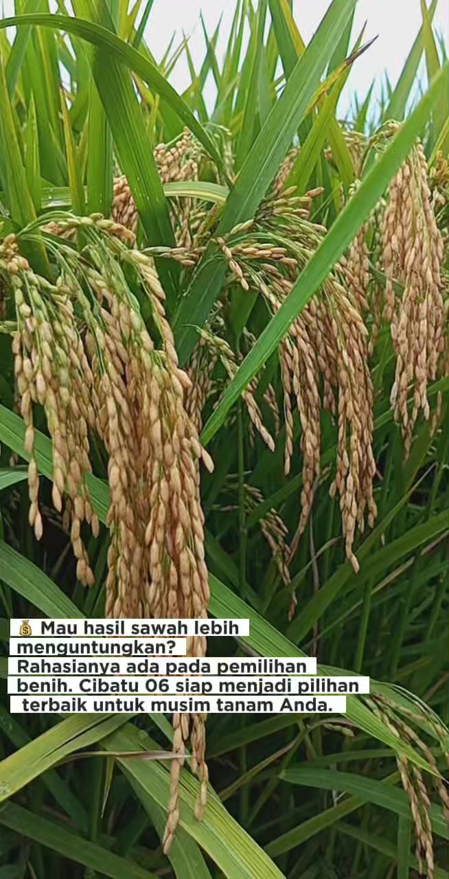 @PT. BHD INDONESIA