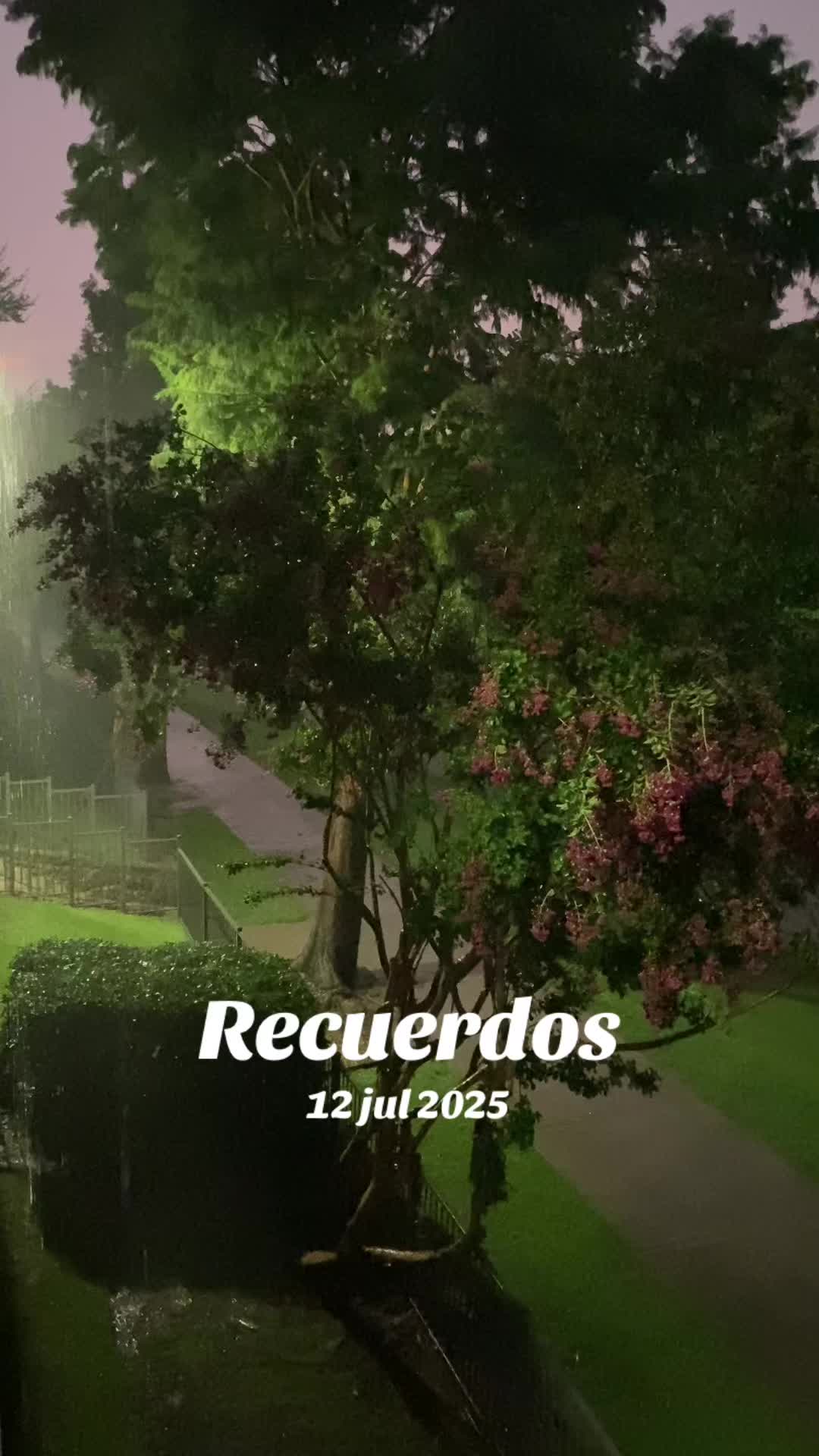 @rubencarrizalez65