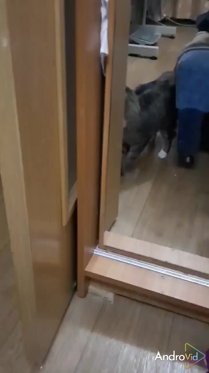 @ОЛЬГА ЩЕРБАКОВА