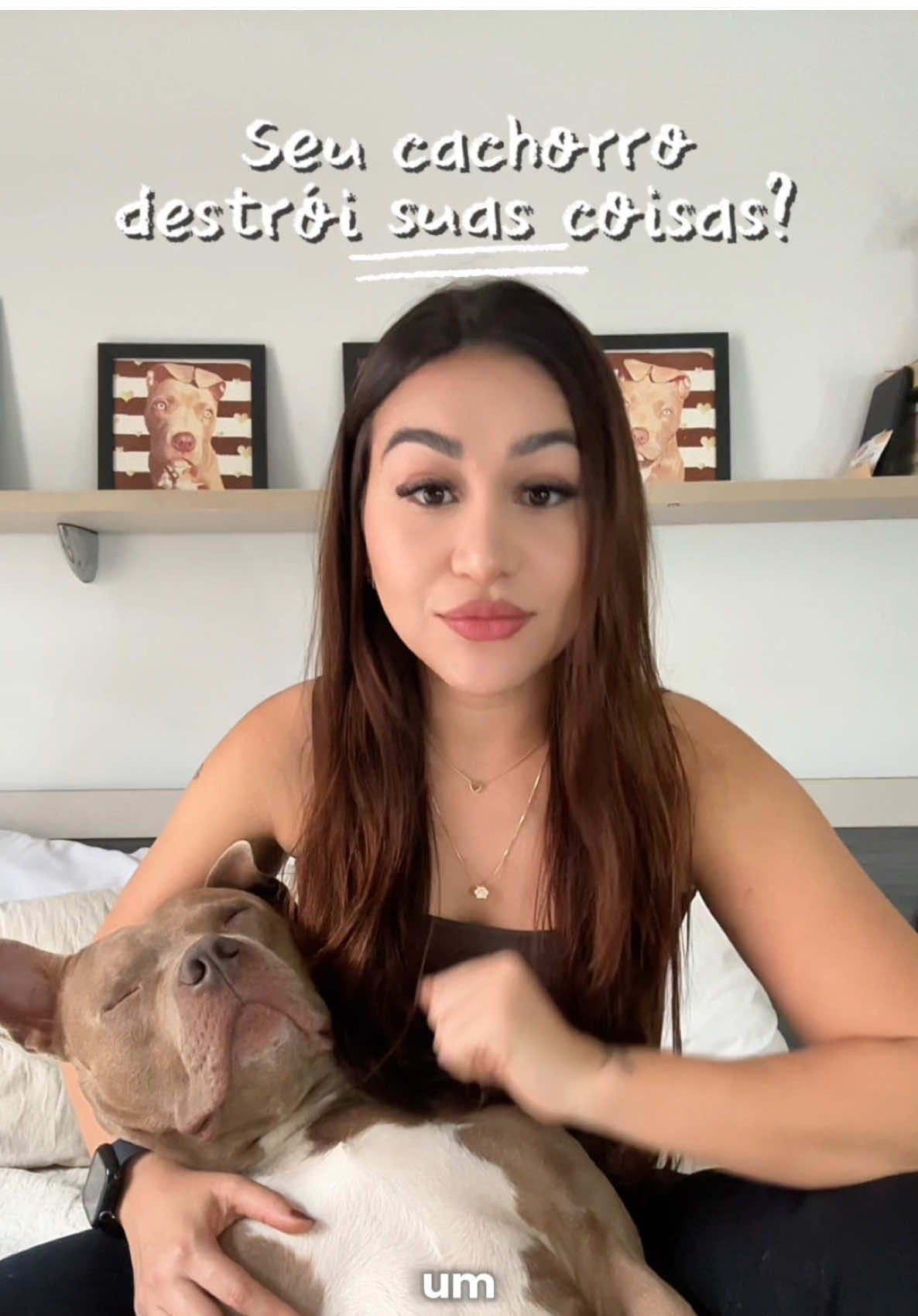 @tutoradobuda
