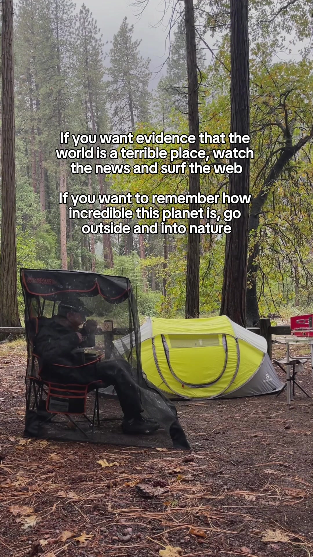 @Bug Beater Chairs
