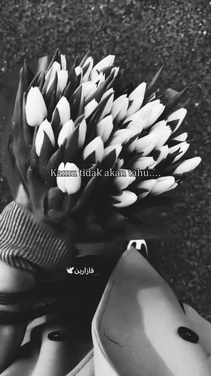 @فازارين