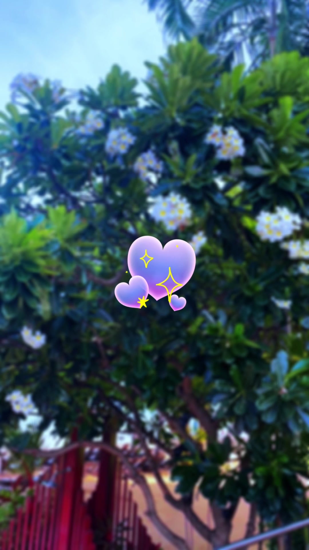 @고금석