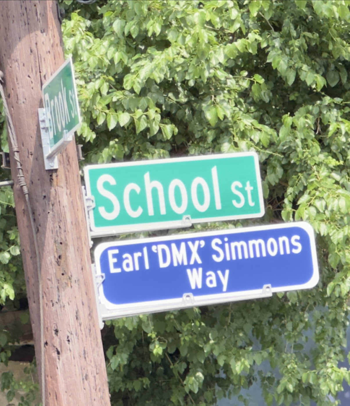 @DMX