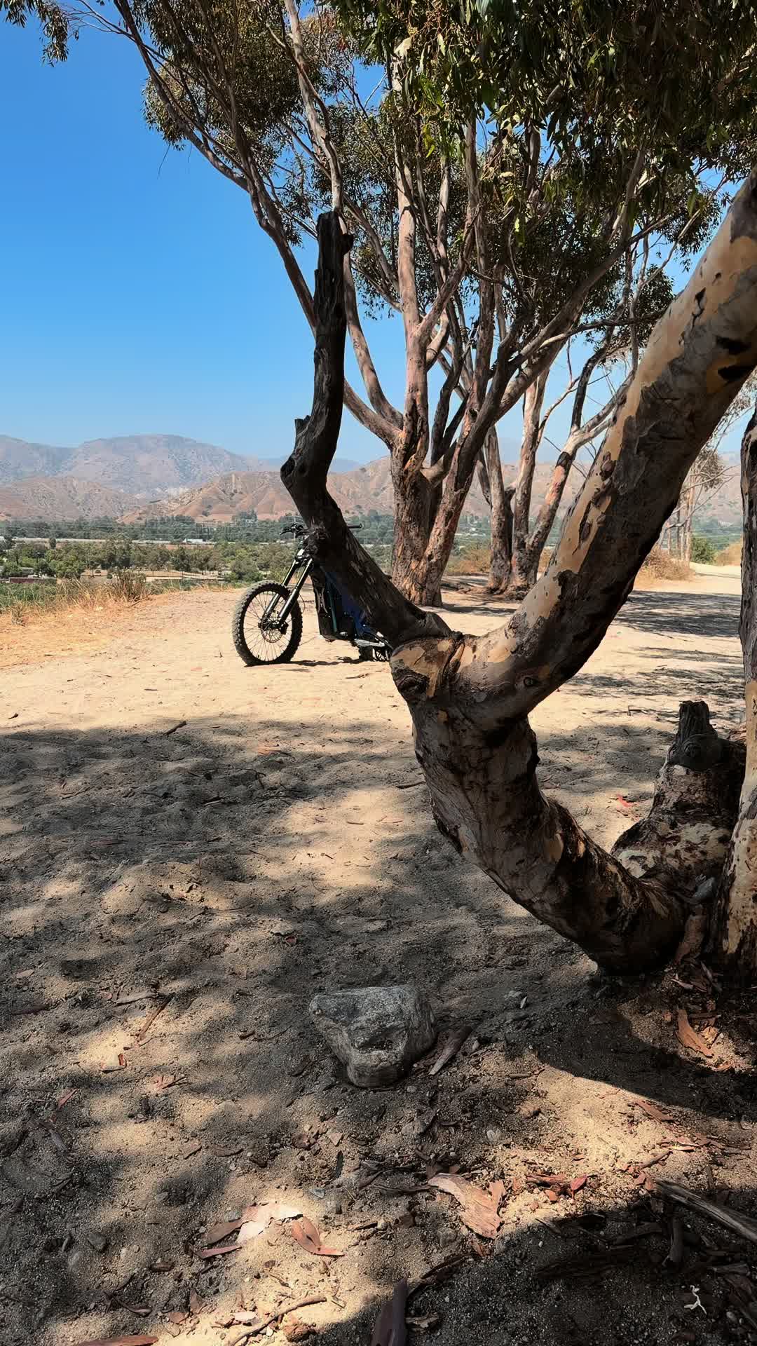 @Mx4ant
