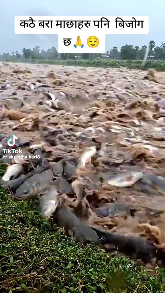 @MUKhiYa💸💸💸🥷🥷🥷🥷🤟🏿🤟🏿