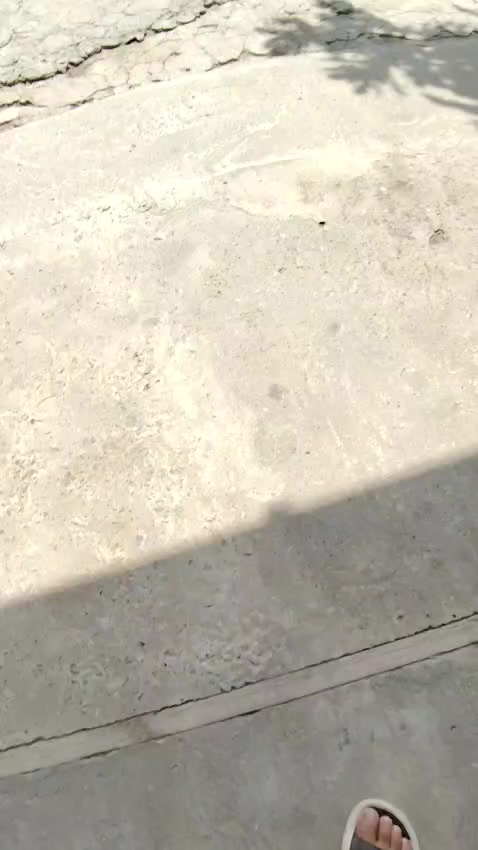 @ناهد-256