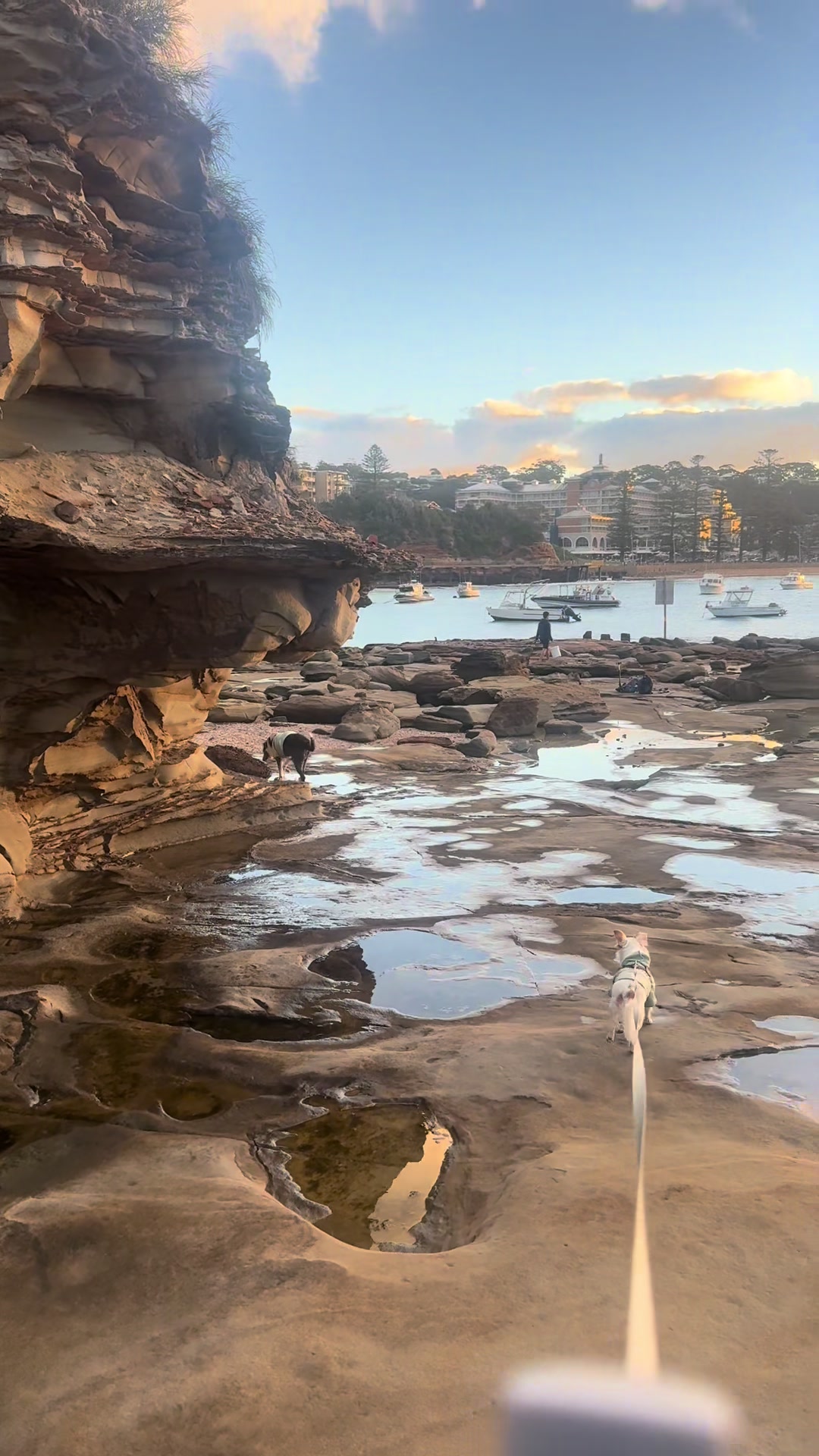 @martincentralcoastnsw