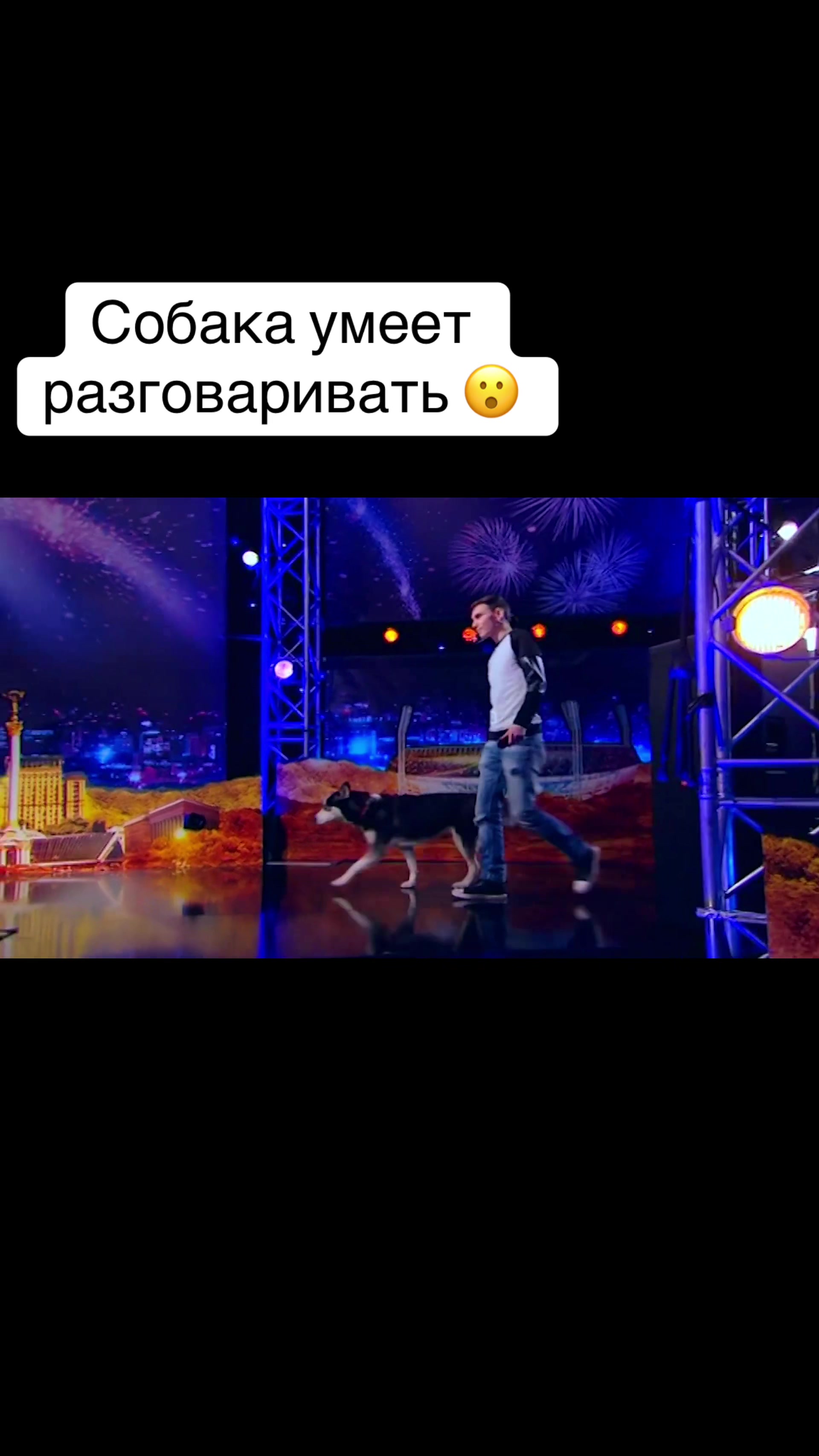 @gvardi11