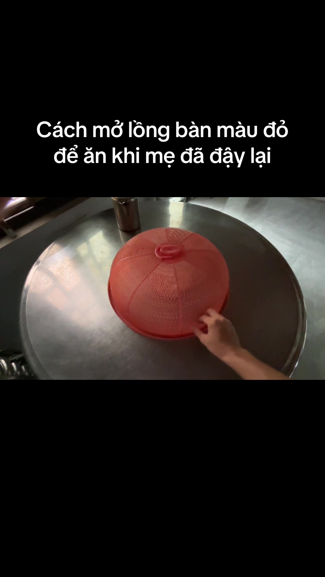 @Mèo thông thái