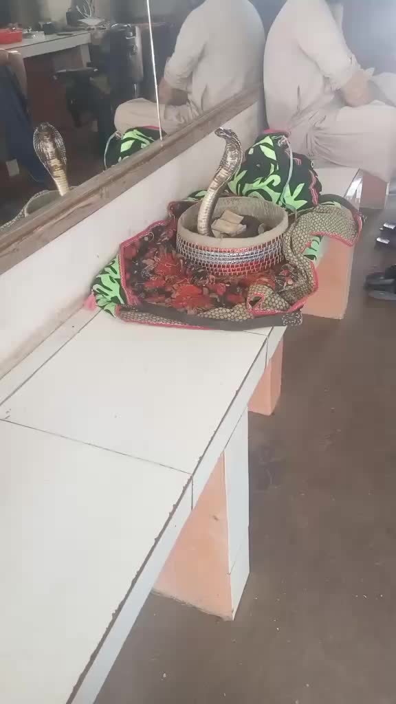 @Séyd zâdà