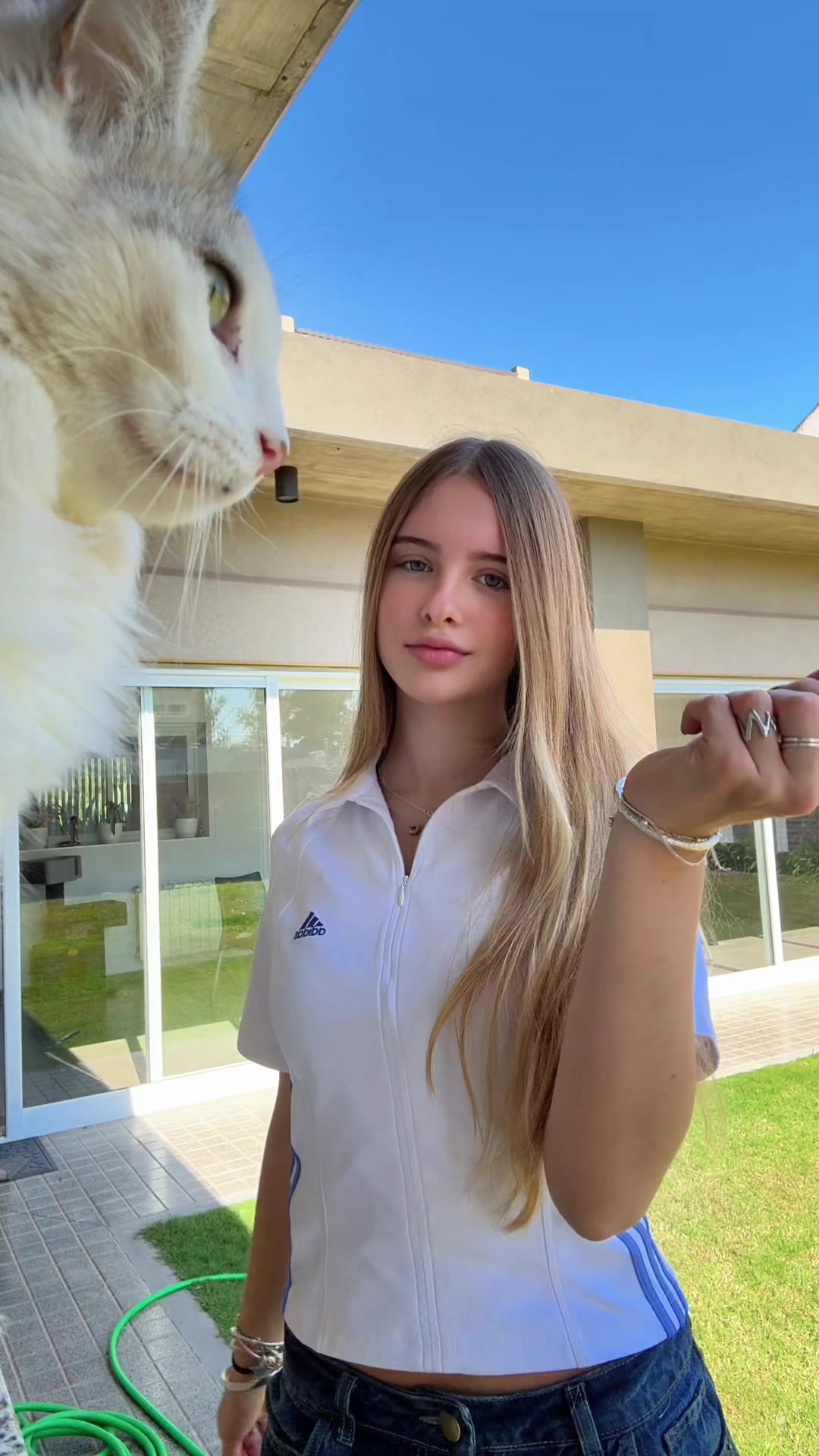 @cele 🦢