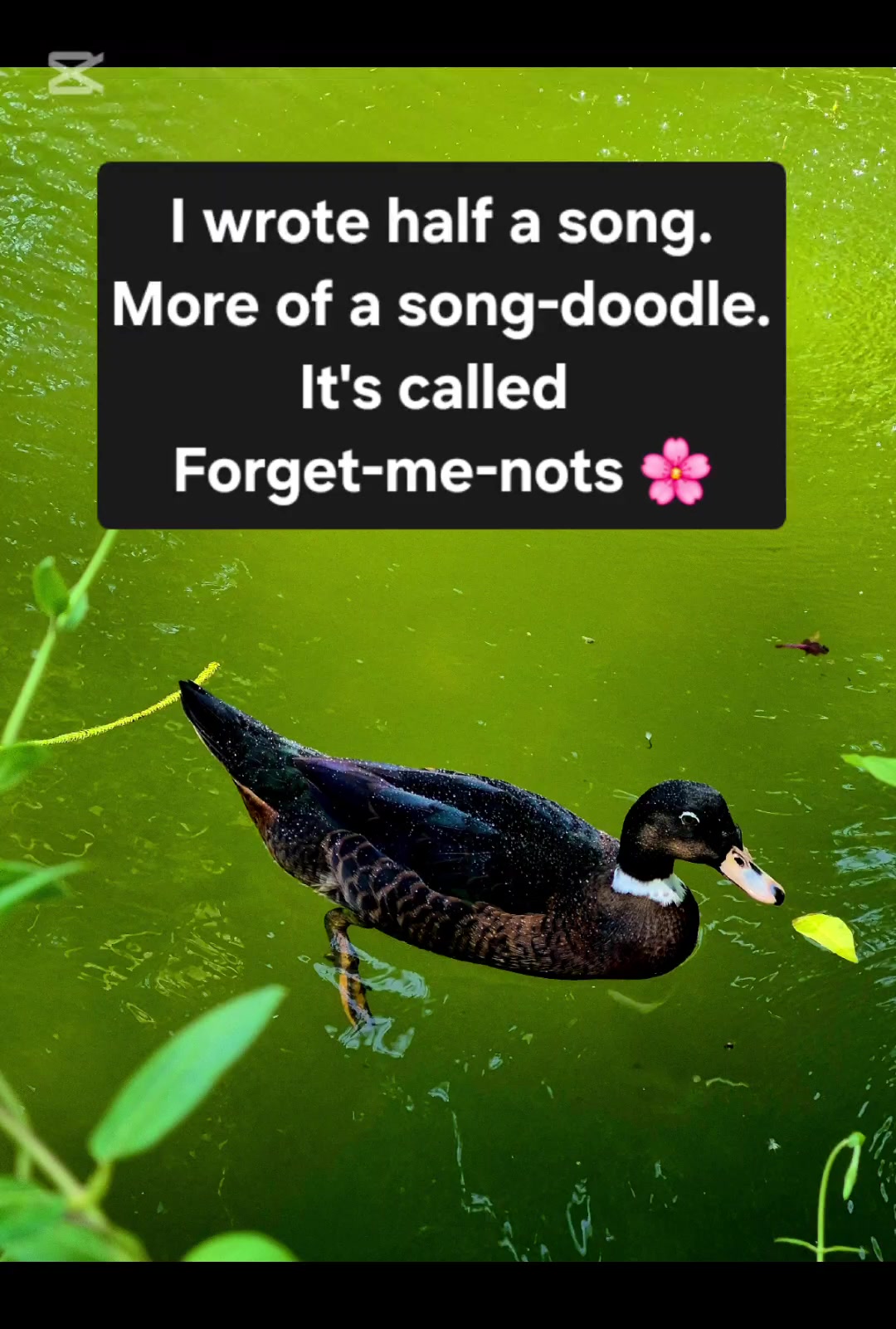 @Scott.Writer