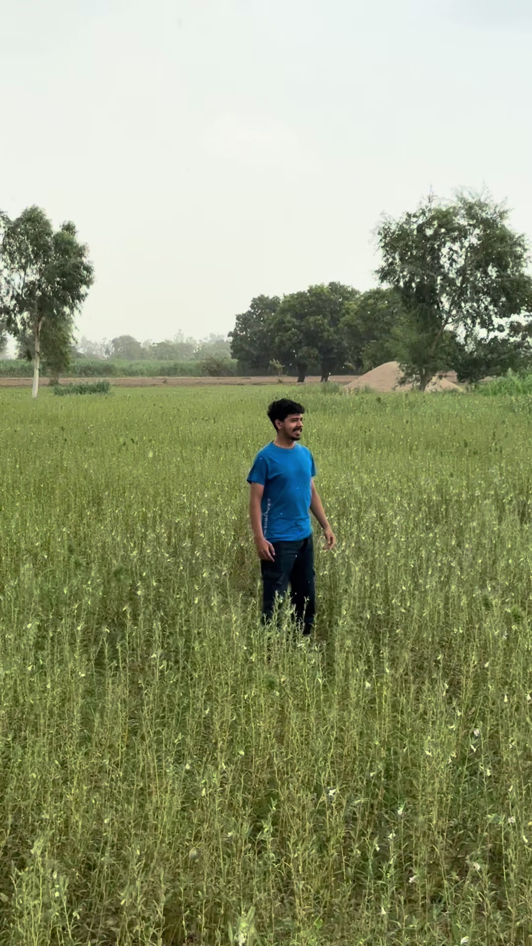 @mutahiriqbal01