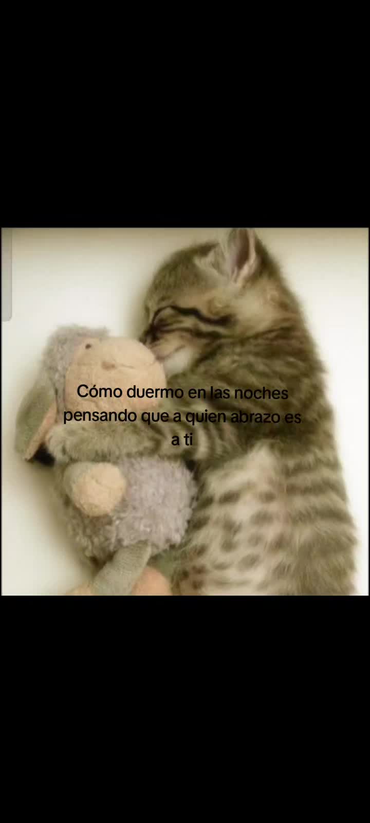 @๐ด๐๐ ๐
๐๐๐๐ ๐๐๐๐๐๐
