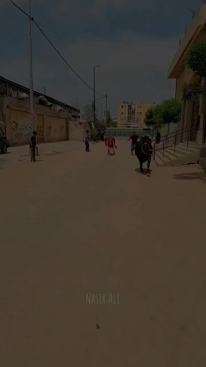 @Nasir Ali