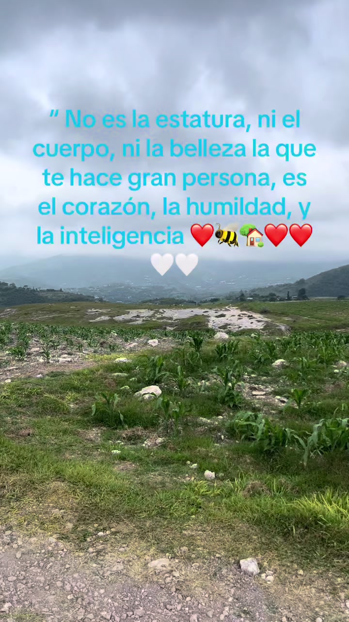 @wendycuevas