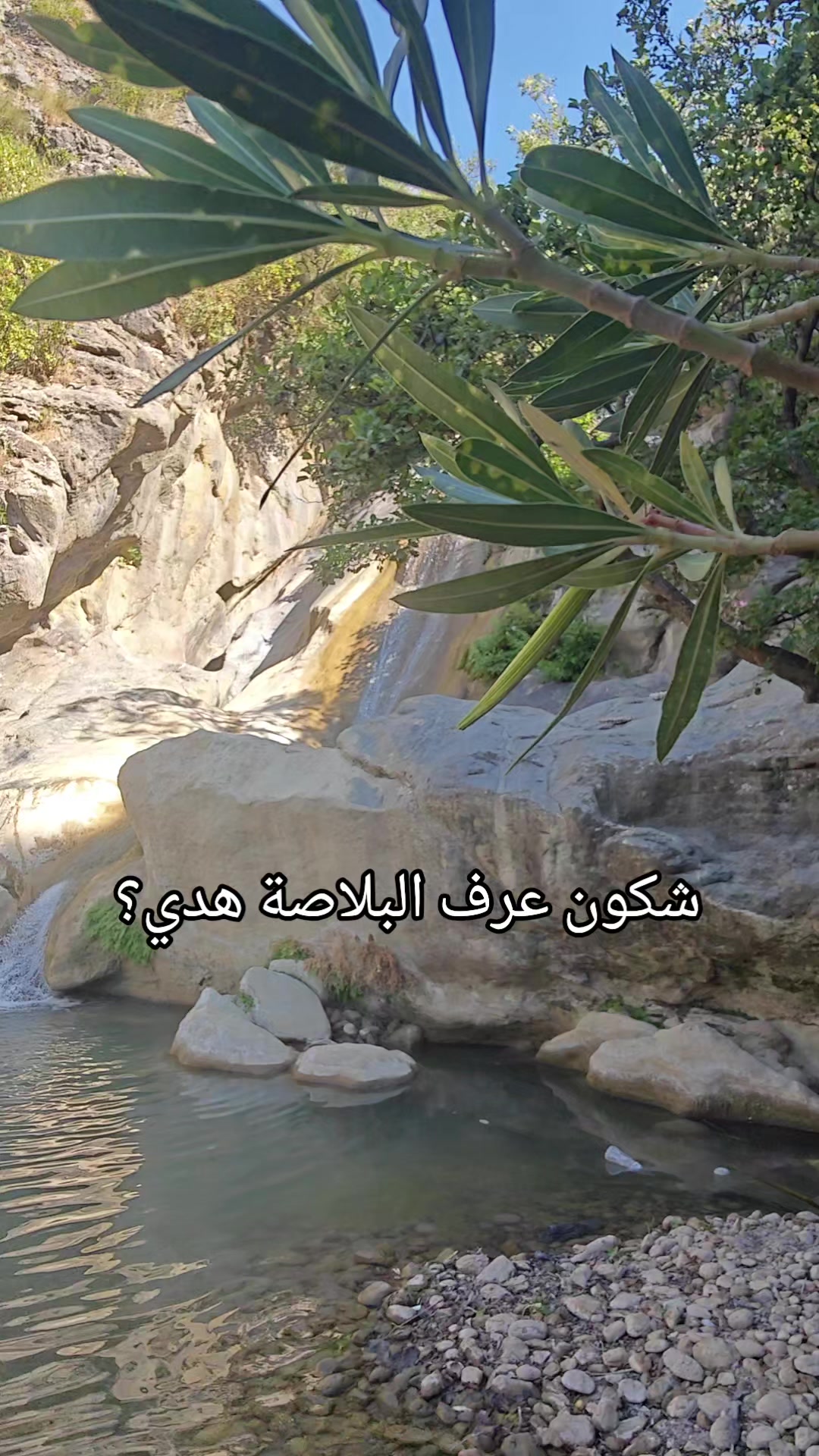 @Into the Wild