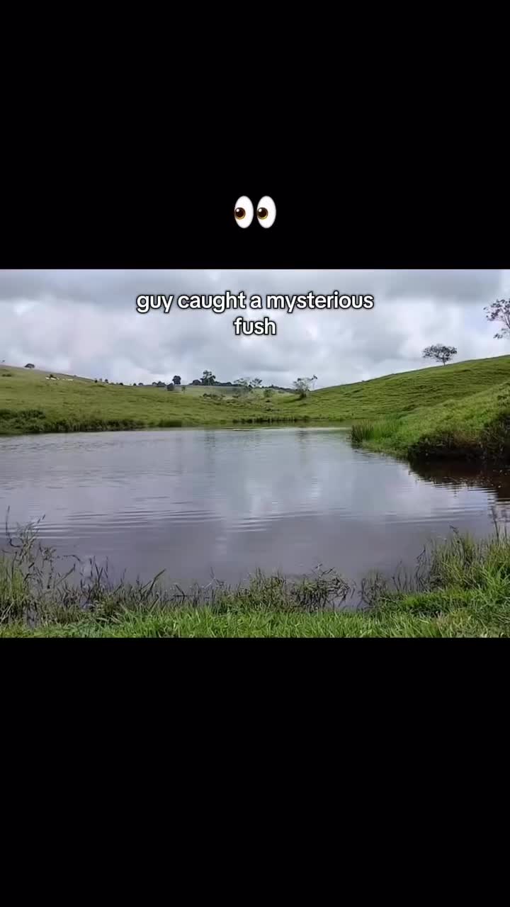 @Pedro