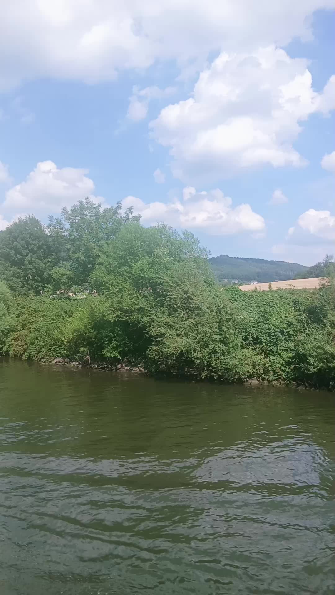 @@Mari_1357