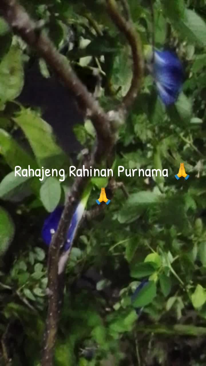 @butrisna72