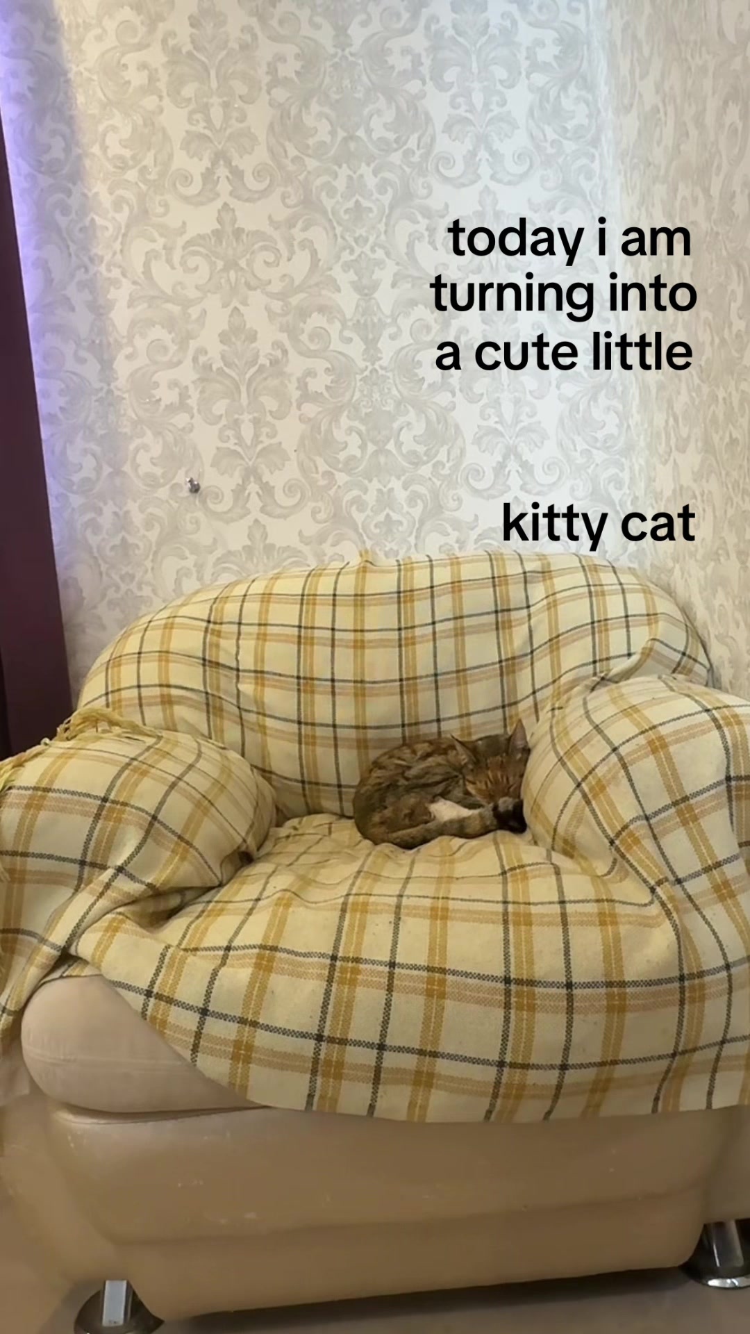 @๐๐๐ข๐๐๐๐ข