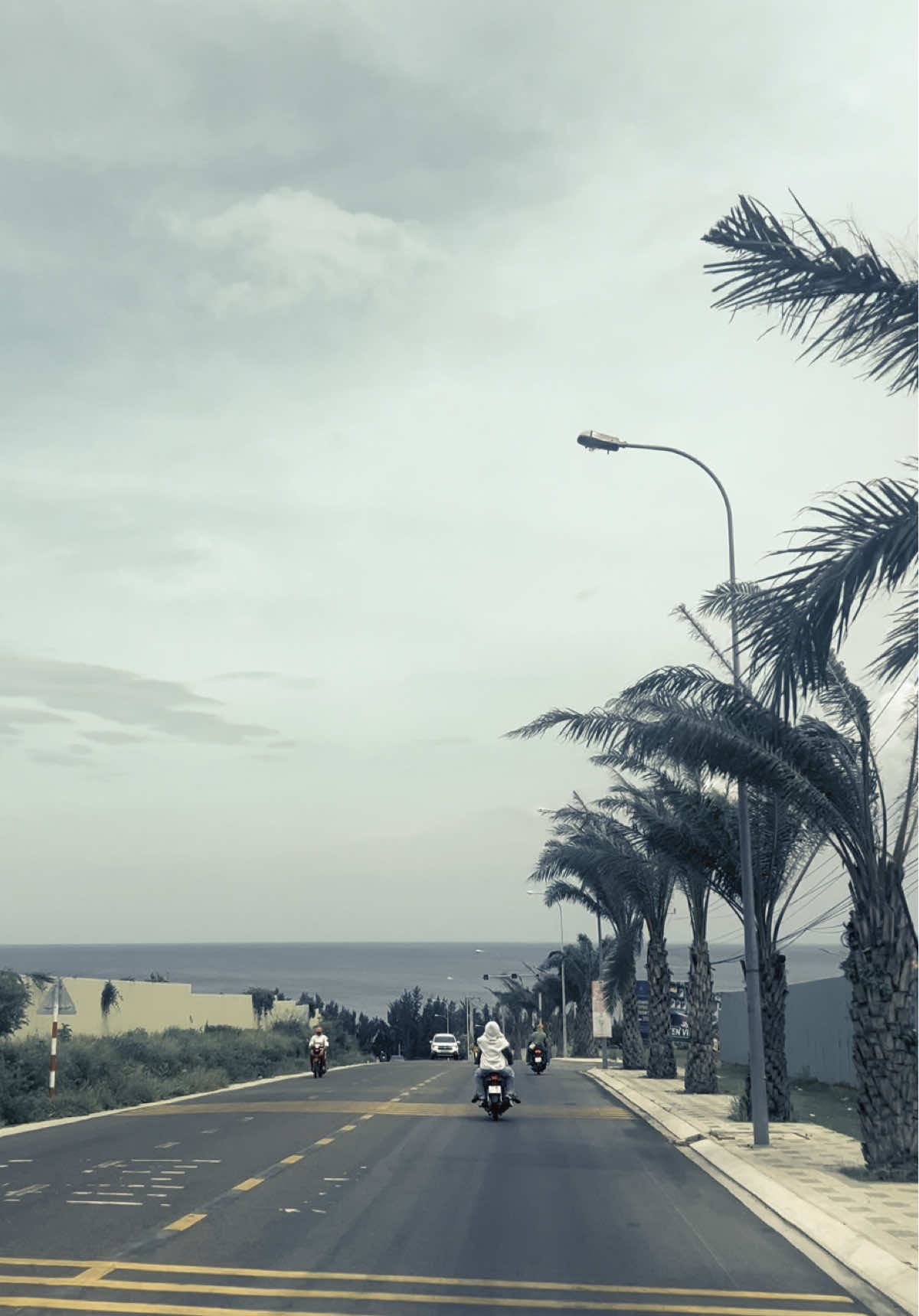 @Tấn Đạt 🇻🇳