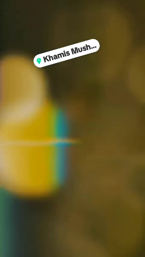 @dino 0590168946