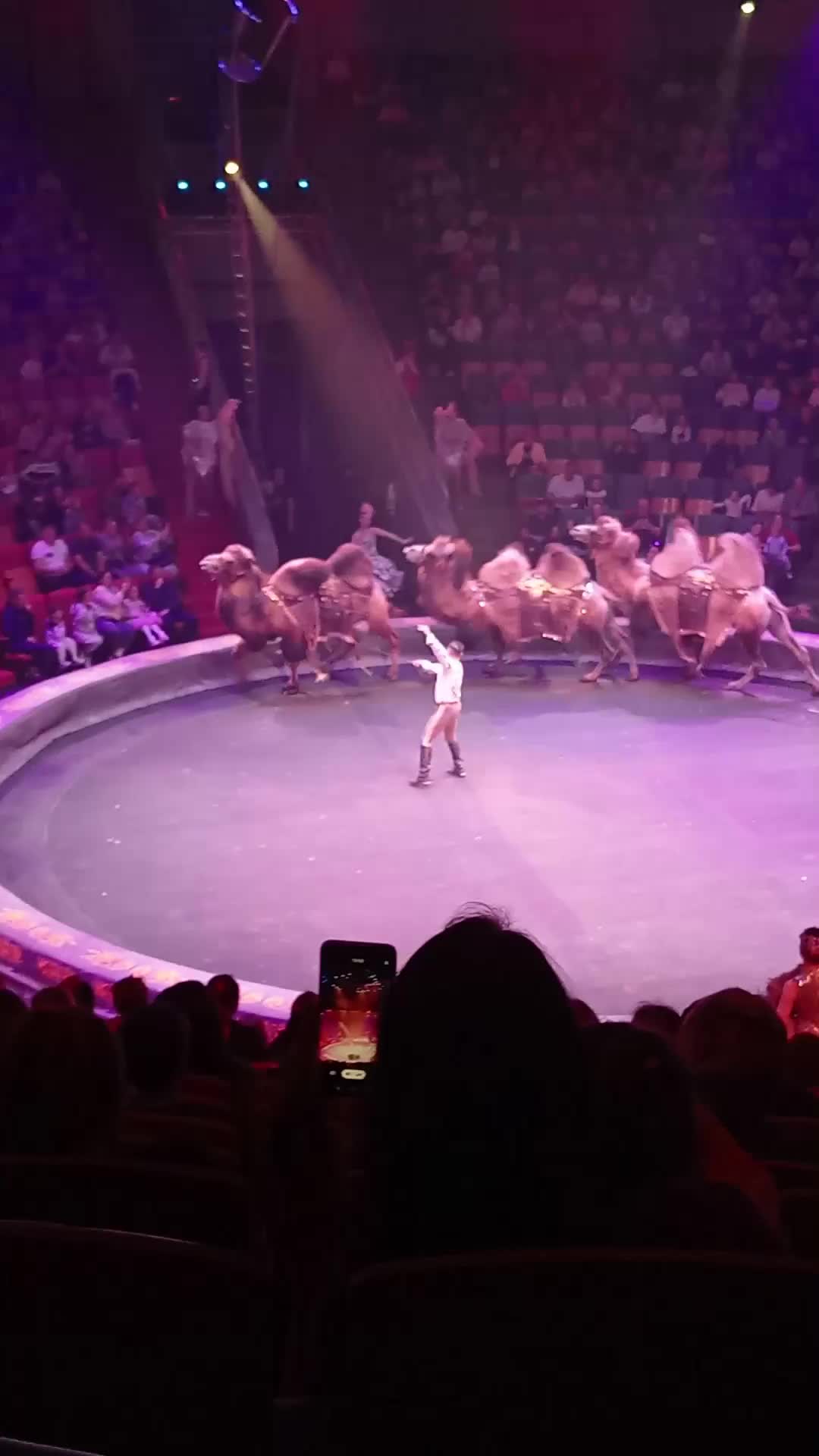 @Елена