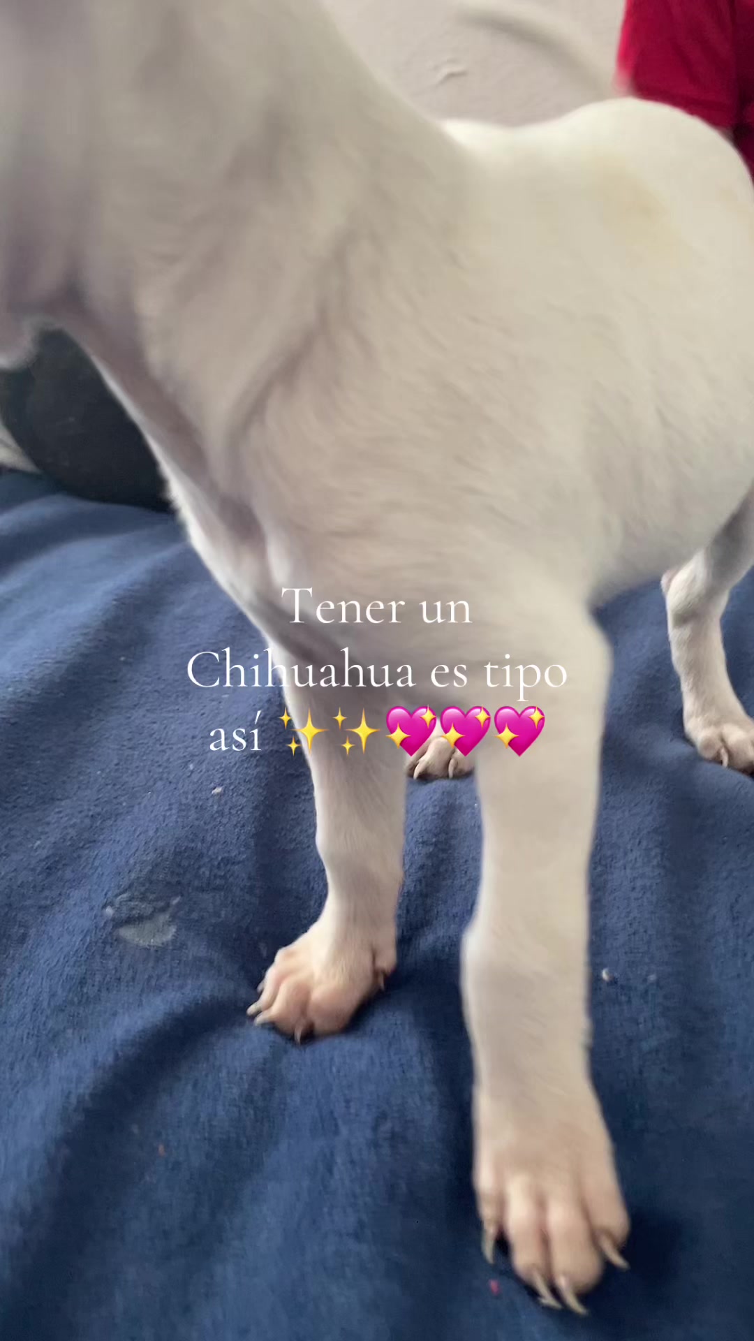@Tu patrona💅🏻💋
