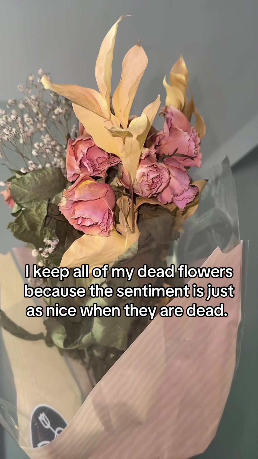 @julianna