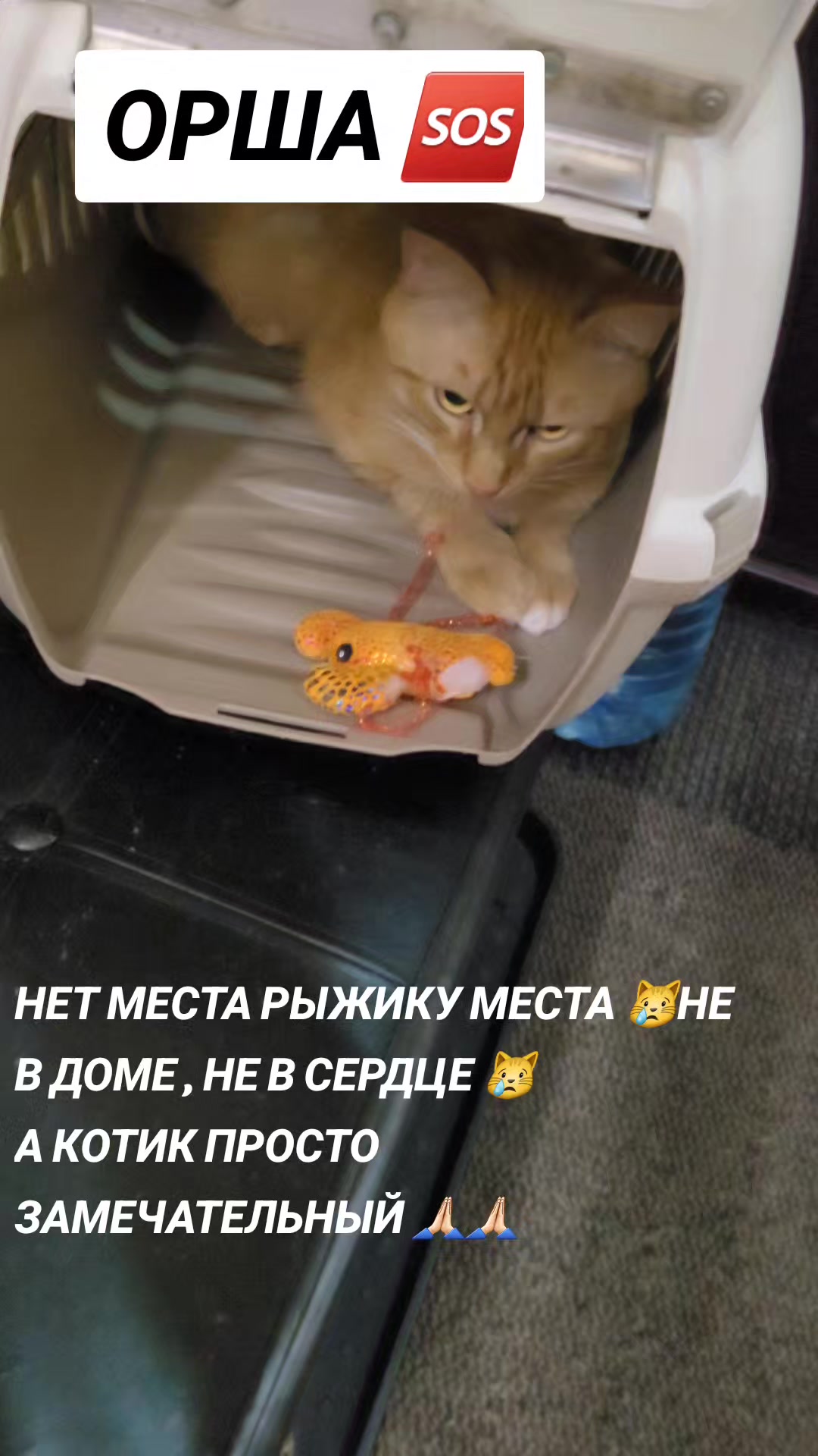 @marinka20_09