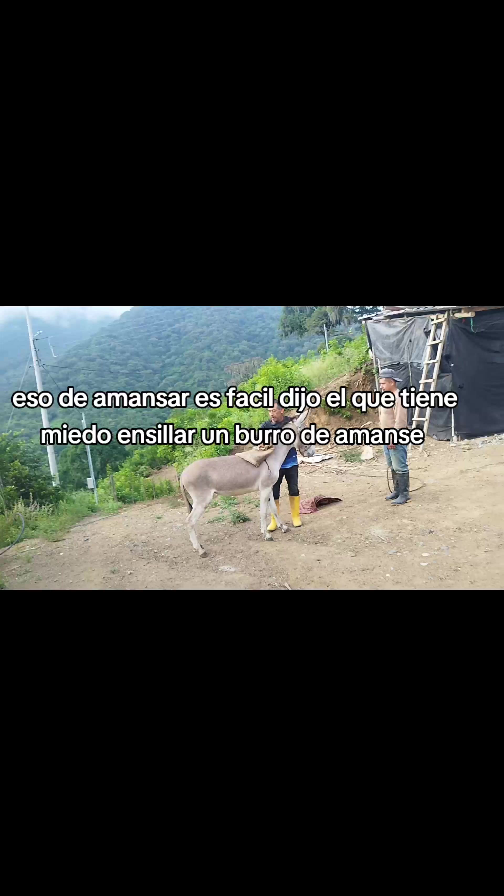 @*viteri*
