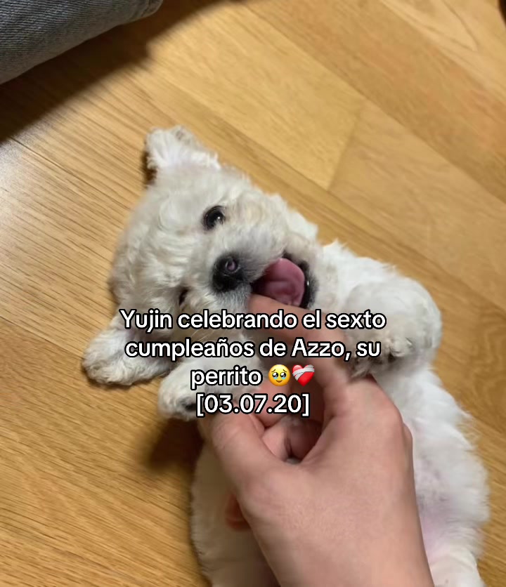 @Yare
