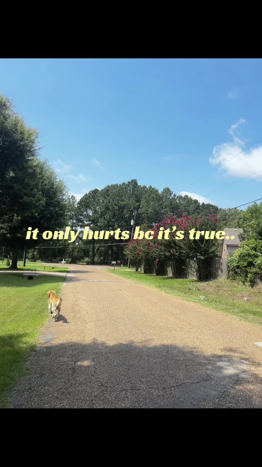 @🧌.