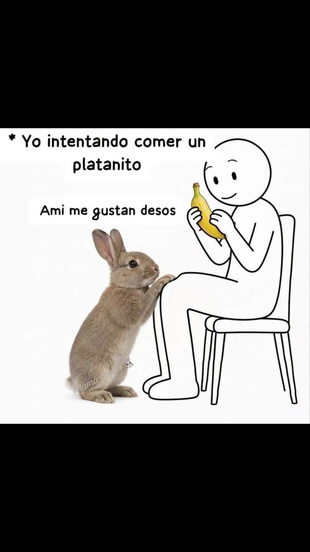 @la do&ntilde;ita 😎😜