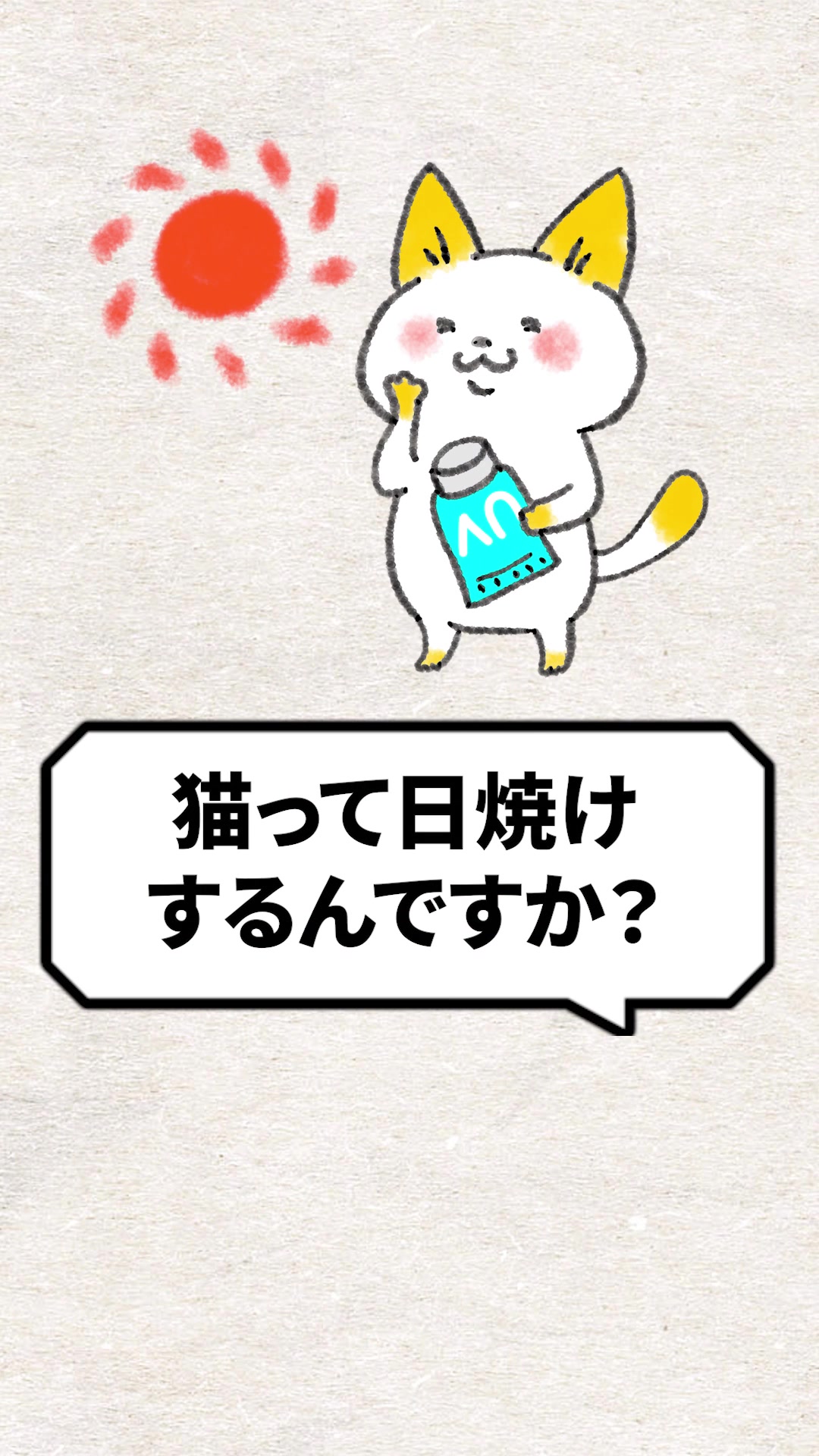 @猫の先生@タケ