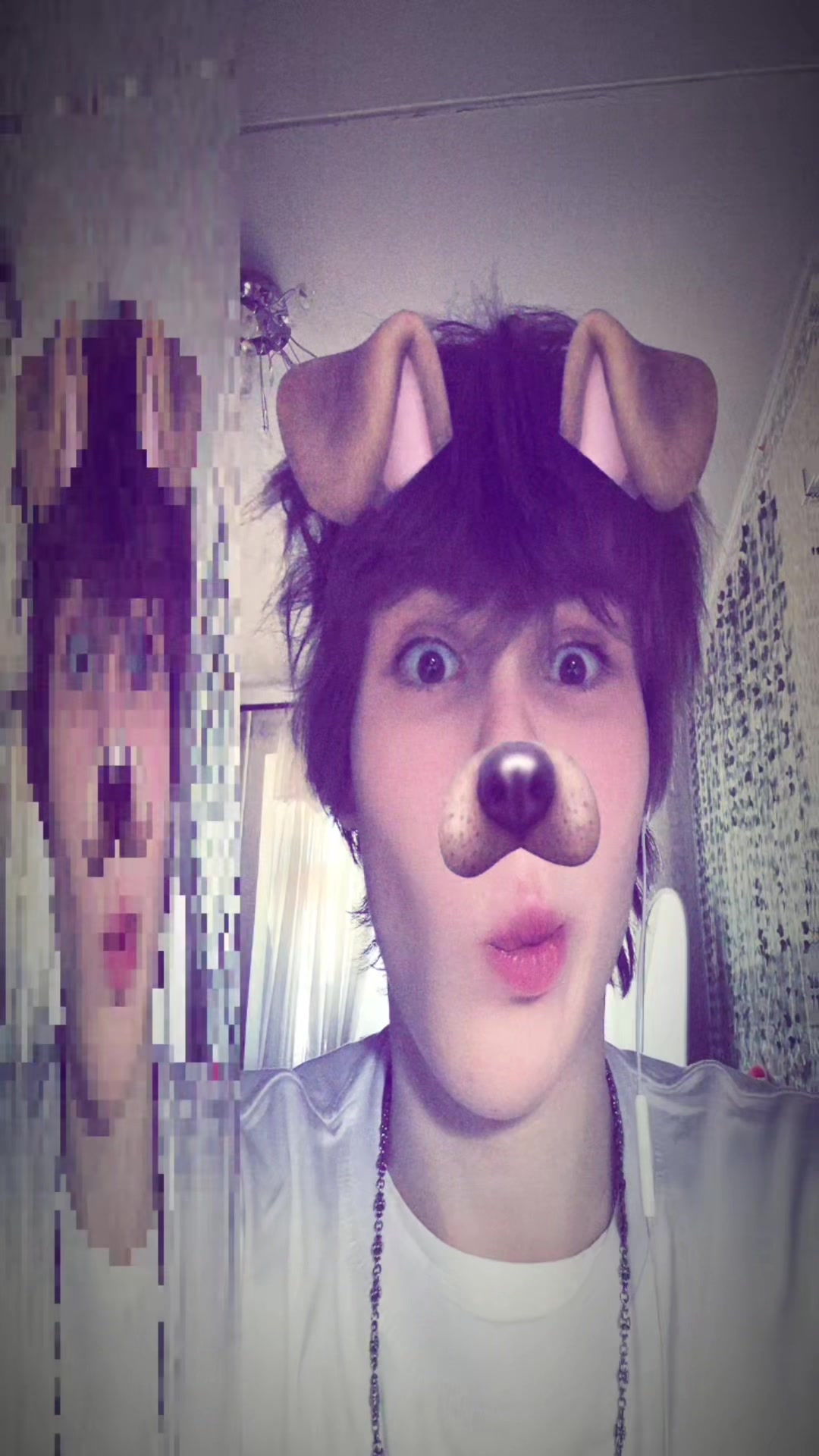 @pupwevb