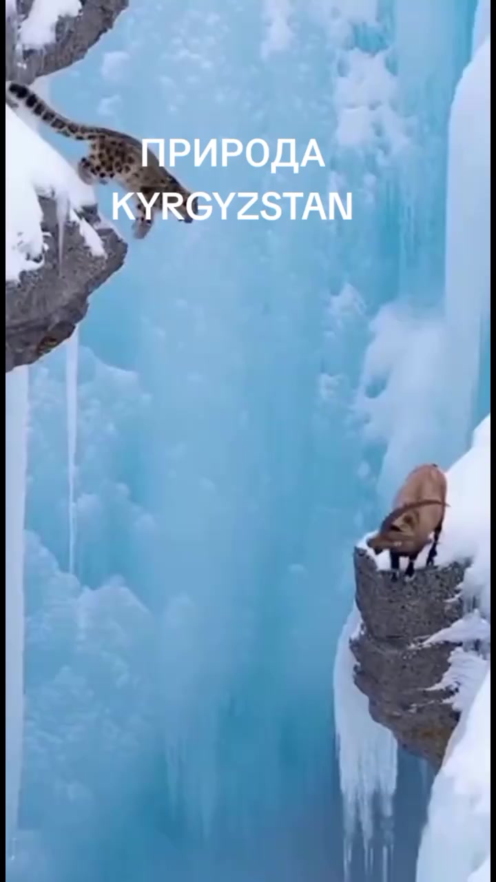 @aidarali_63