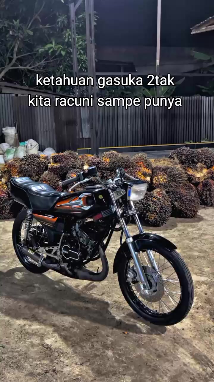 @𝙆𝙞𝙣𝙜_𝙜𝙚𝙖𝙧𝙥𝙞𝙨